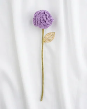Carnation