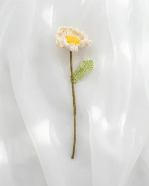 Daisy