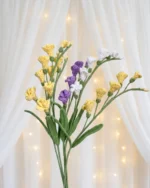 Freesia