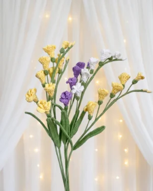 Freesia