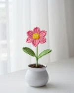 Poppy Flower