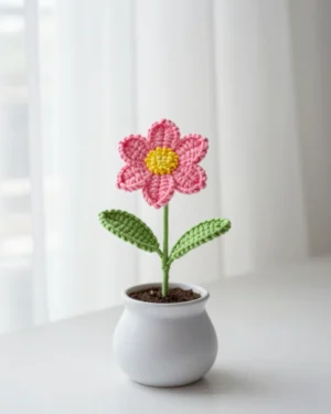 Poppy Flower