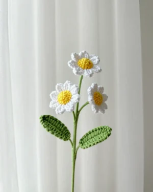 Small Daisy